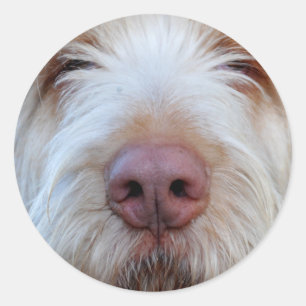 Rond Sticker Booper de Luigi