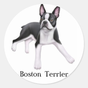 Rond Sticker Boston Terrier