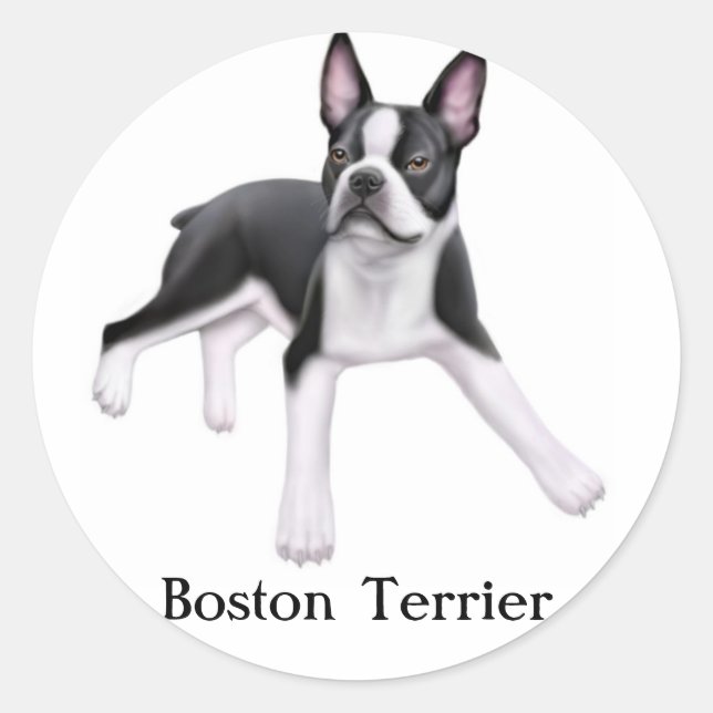 Rond Sticker Boston Terrier (Devant)