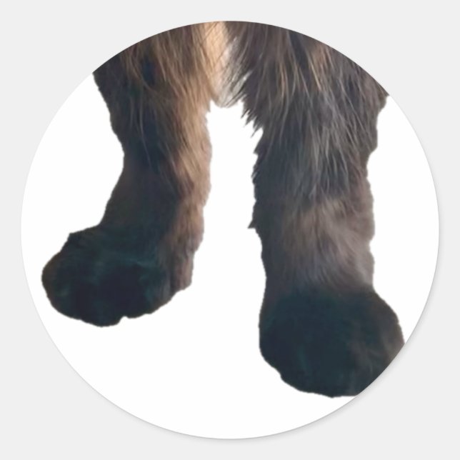 Rond Sticker Buster - Pieds! (Devant)