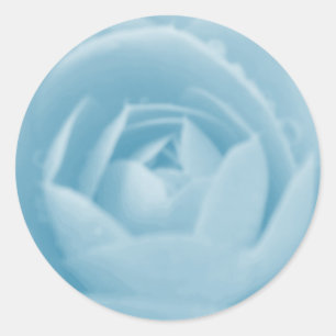 Rond Sticker Camellia Whirlpool