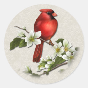 Rond Sticker cardinal et Dogwood masculin