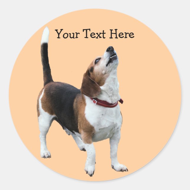 Rond Sticker chien beagle Howt mignon (Devant)