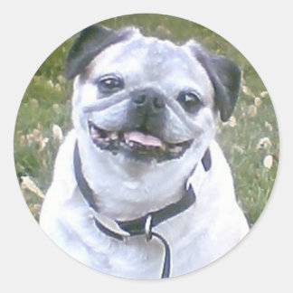 Rond Sticker Chien de Pug