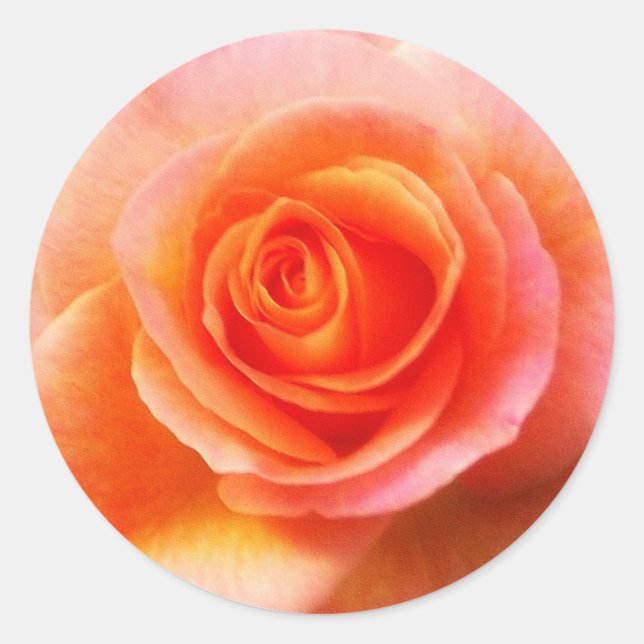 Rond Sticker 'Coeur du Rose' (Devant)