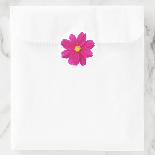 Rond Sticker Cosmos (Sac)