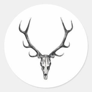 Rond Sticker crâne cerf Antler