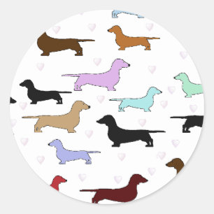 Rond Sticker Dachshund coloré