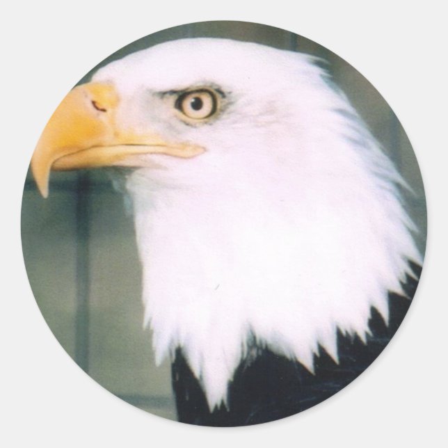 Rond Sticker d'aigle (Devant)
