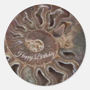 Rond Sticker d'anniversaire Fossil Ammonite Shell