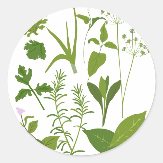 Rond Sticker de collection d'herbes (Devant)