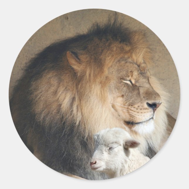 Rond sticker de paix de vacances (Devant)