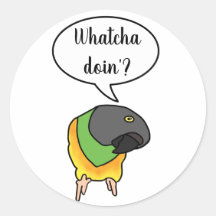 Sticker de perroquet Sénégal