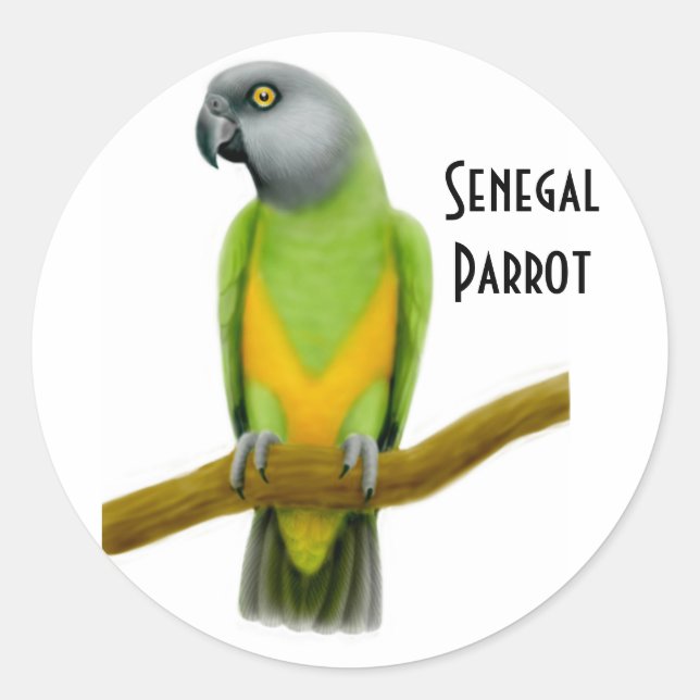 Rond Sticker de perroquet Sénégal (Devant)