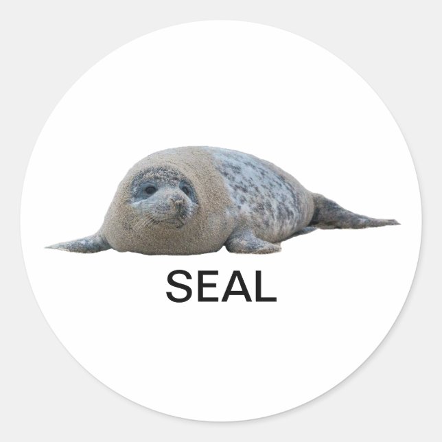 Rond Sticker de phoque 04 (Devant)