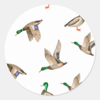 Rond Sticker d'invitation de canard mignon