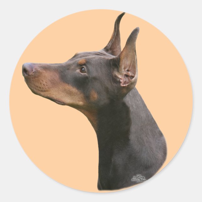 Rond Sticker Dobermann Pinscher - rouge/noir (Devant)