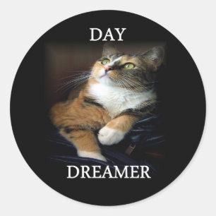Rond Sticker Dreamer Day
