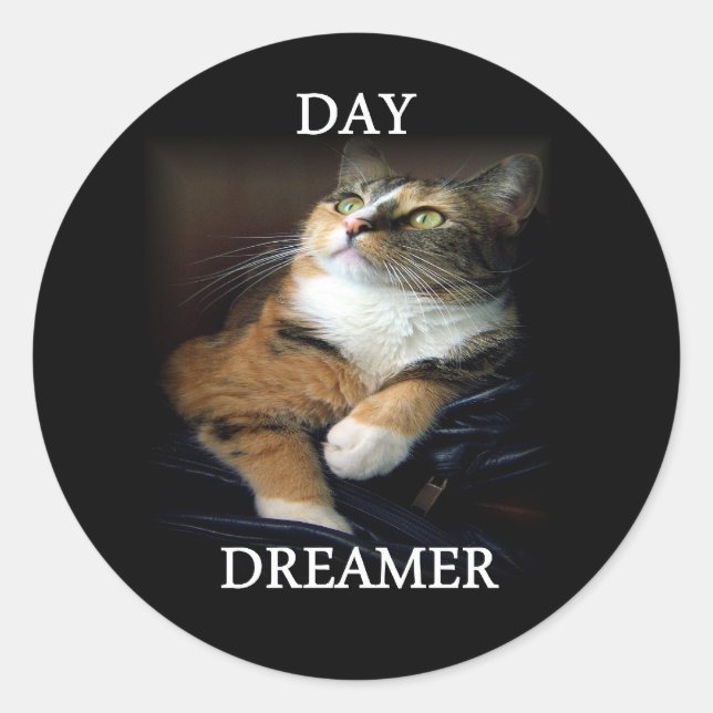 Rond Sticker Dreamer Day (Devant)
