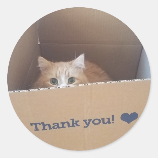 Rond Sticker en Merci de chat Diego (Devant)