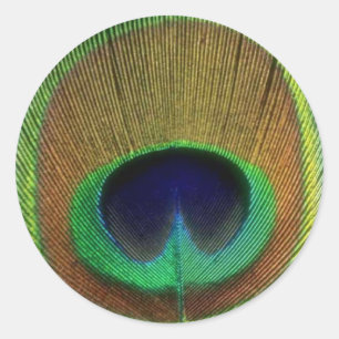 Rond Sticker en plume de paon