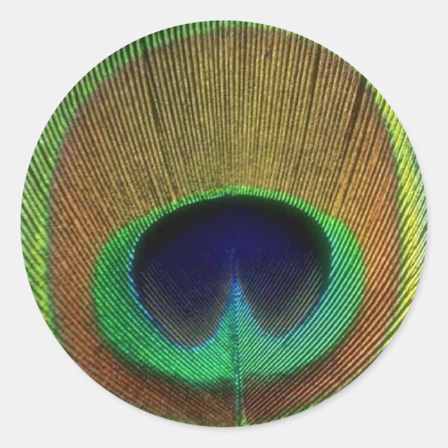 Rond Sticker en plume de paon (Devant)