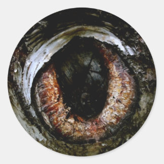 Rond Sticker Eyeball