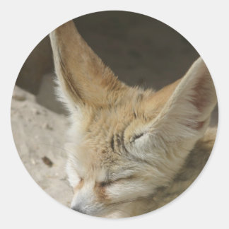 Rond Sticker Fennec Fox
