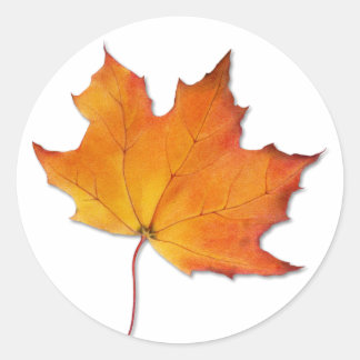 Rond Sticker feuille d'érable
