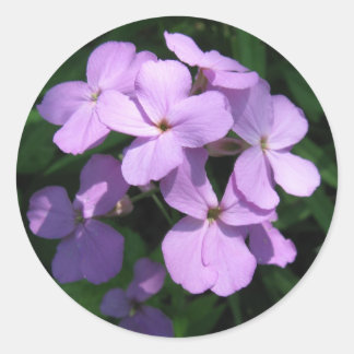 Rond Sticker Fleur sauvage Lavendar