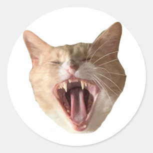 Rond Sticker Floyd - Avec Bouche Ouverte!