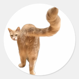 Rond Sticker Floyd Butt - Avec Visage!