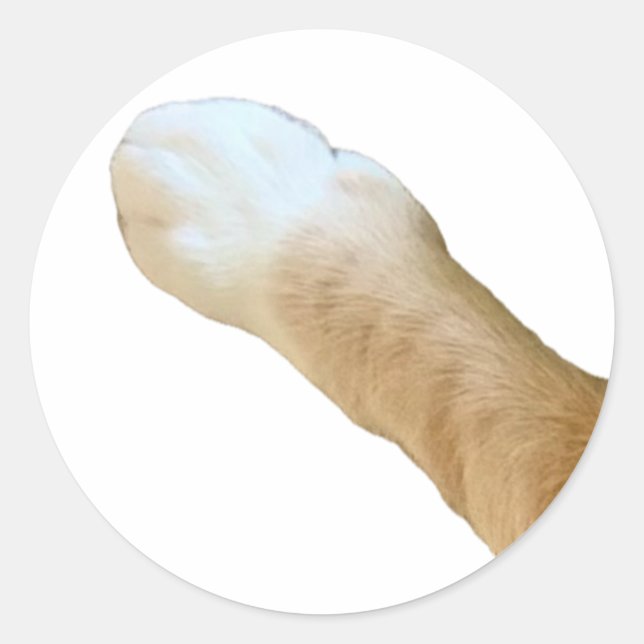 Rond Sticker Floyd - Paw ! (Devant)