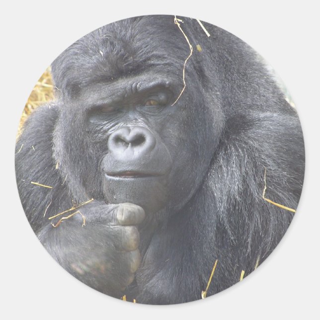 Rond Sticker Gorilla réfléchi (Devant)