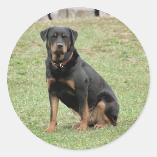 Rond Sticker Heidi (Devant)