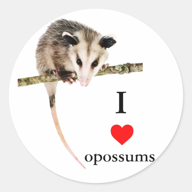 Rond Sticker I Love Opossum (Devant)