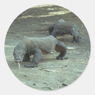 Rond Sticker Komodo Dragon