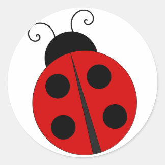 Rond Sticker Ladybug