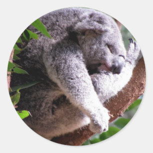 Rond Sticker Lazy Koala
