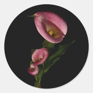 Rond Sticker Lilly