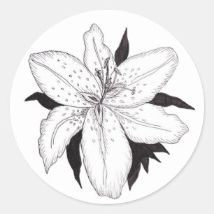 Rond Sticker Lily