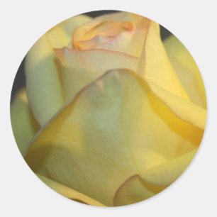 Rond Sticker Mariage rose jaune