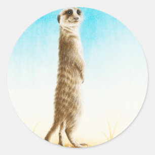 Rond Sticker Meerkat