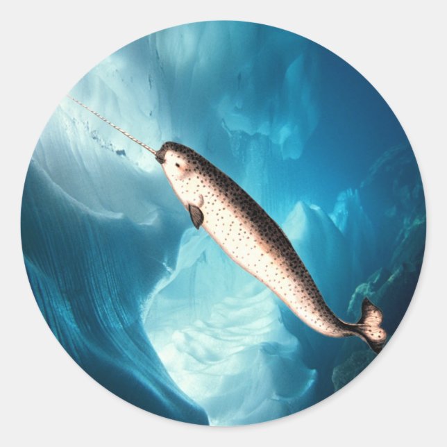Rond Sticker Narwhal (Devant)
