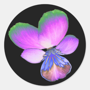 Rond Sticker Pansy