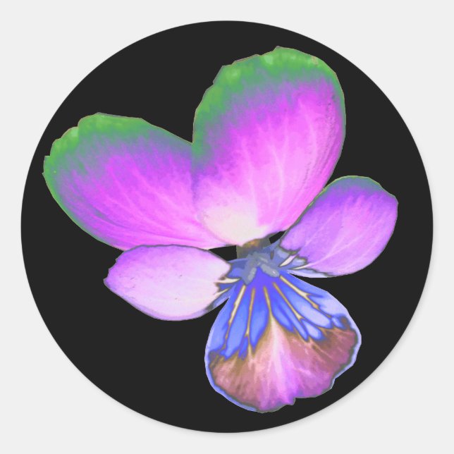 Rond Sticker Pansy (Devant)
