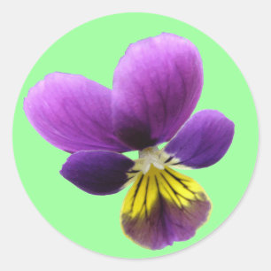 Rond Sticker Pansy