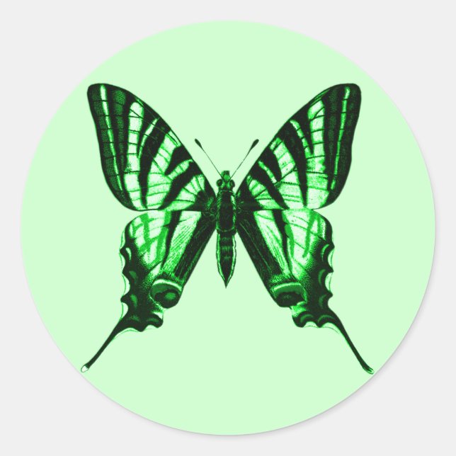 Rond Sticker papillon vert (Devant)