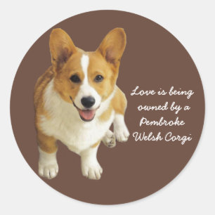 Rond Sticker Pembroke Welsh Corgi