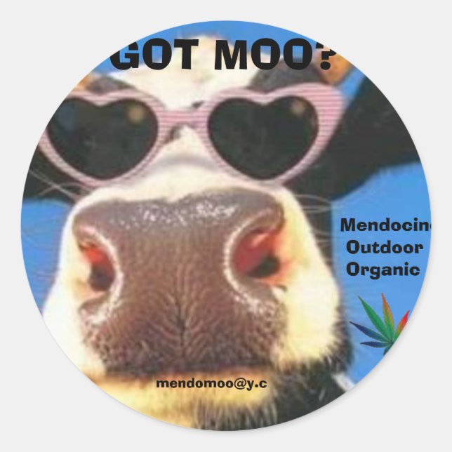 ROND STICKER POT GOT MOO (Devant)